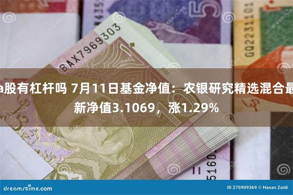 a股有杠杆吗 7月11日基金净值：农银研究精选混合最新净值3.1069，涨1.29%