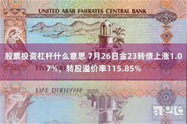 股票投资杠杆什么意思 7月26日金23转债上涨1.07%，转股溢价率115.85%