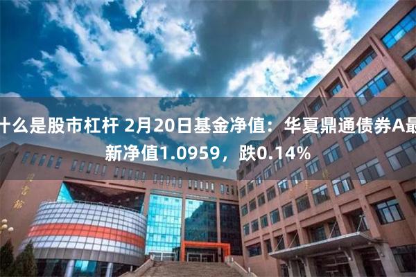 什么是股市杠杆 2月20日基金净值：华夏鼎通债券A最新净值1.0959，跌0.14%