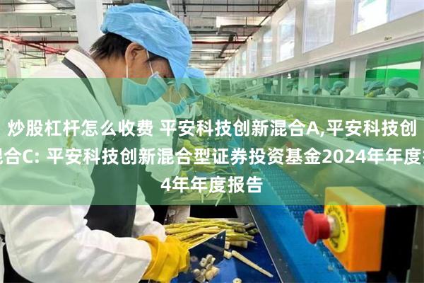 炒股杠杆怎么收费 平安科技创新混合A,平安科技创新混合C: 平安科技创新混合型证券投资基金2024年年度报告