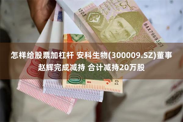 怎样给股票加杠杆 安科生物(300009.SZ)董事赵辉完成减持 合计减持20万股