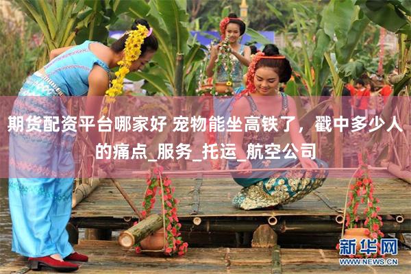 期货配资平台哪家好 宠物能坐高铁了，戳中多少人的痛点_服务_托运_航空公司