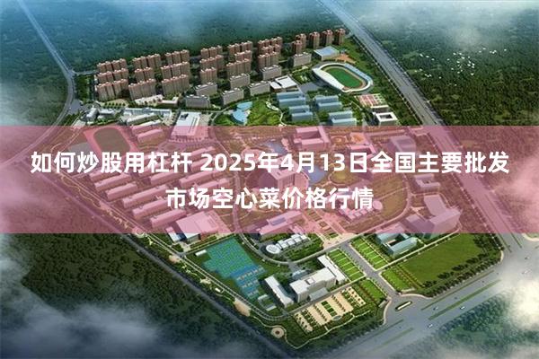 如何炒股用杠杆 2025年4月13日全国主要批发市场空心菜价格行情