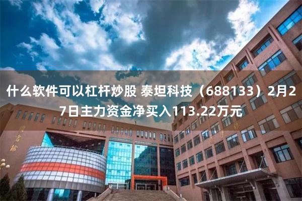什么软件可以杠杆炒股 泰坦科技（688133）2月27日主力资金净买入113.22万元