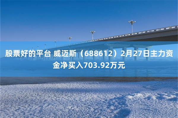 股票好的平台 威迈斯（688612）2月27日主力资金净买入703.92万元