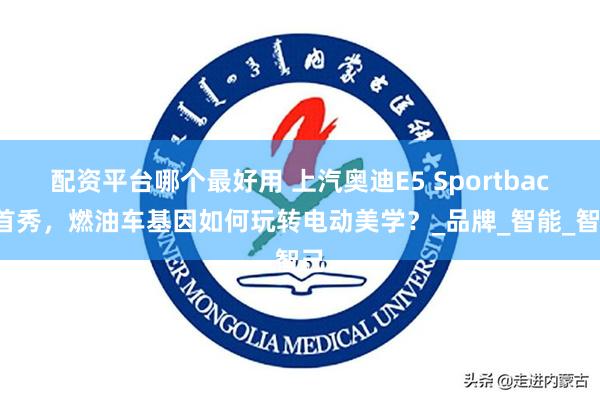 配资平台哪个最好用 上汽奥迪E5 Sportback首秀，燃油车基因如何玩转电动美学？_品牌_智能_智己