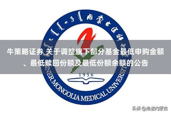 牛策略证券 关于调整旗下部分基金最低申购金额、最低赎回份额及最低份额余额的公告