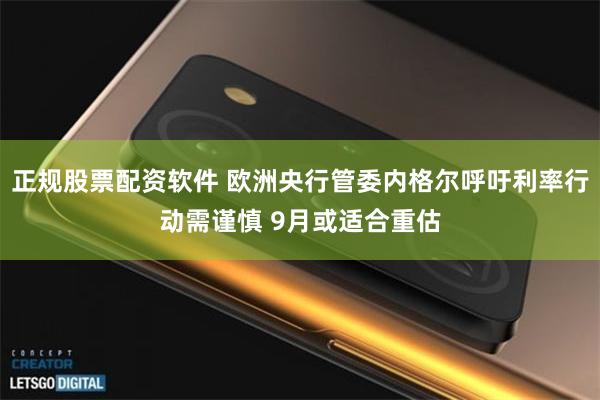 正规股票配资软件 欧洲央行管委内格尔呼吁利率行动需谨慎 9月或适合重估