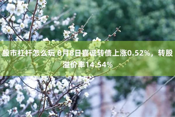 股市杠杆怎么玩 8月8日嘉诚转债上涨0.52%，转股溢价率14.54%
