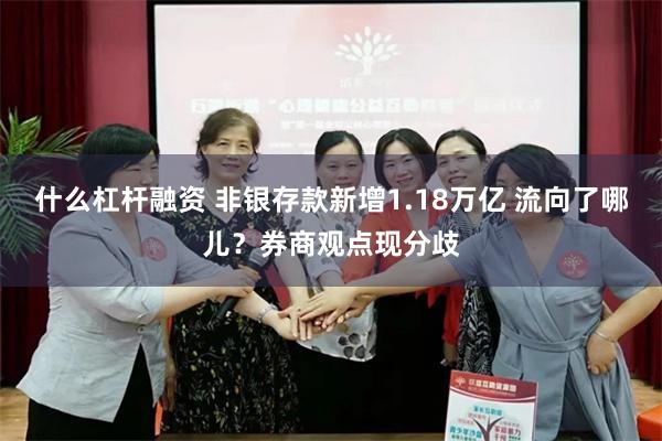 什么杠杆融资 非银存款新增1.18万亿 流向了哪儿？券商观点现分歧
