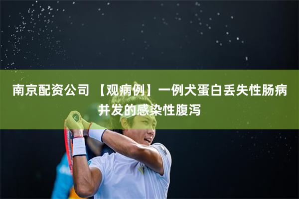 南京配资公司 【观病例】一例犬蛋白丢失性肠病并发的感染性腹泻