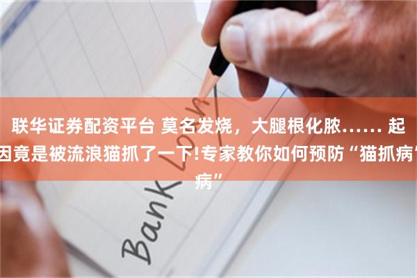 联华证券配资平台 莫名发烧，大腿根化脓…… 起因竟是被流浪猫抓了一下!专家教你如何预防“猫抓病”