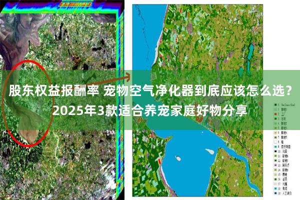 股东权益报酬率 宠物空气净化器到底应该怎么选？2025年3款适合养宠家庭好物分享